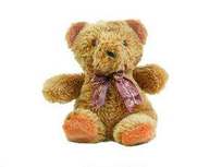 Teddy bear nanny cam install colorado childproofing babyproofing